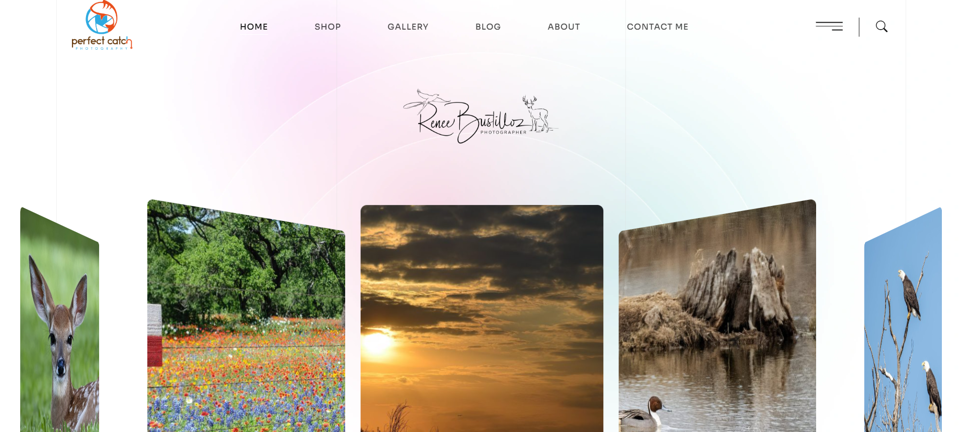 Modern Photography Portfolio Website – WordPress Design
